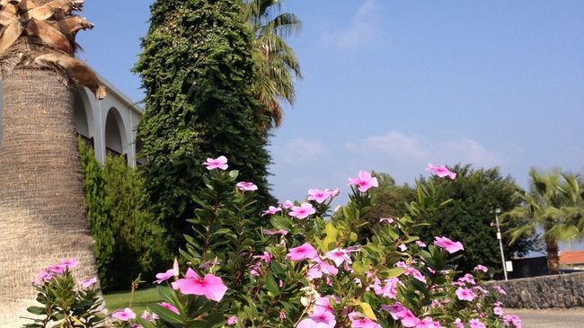 Onar Village Kyrenia  Fasilitas foto